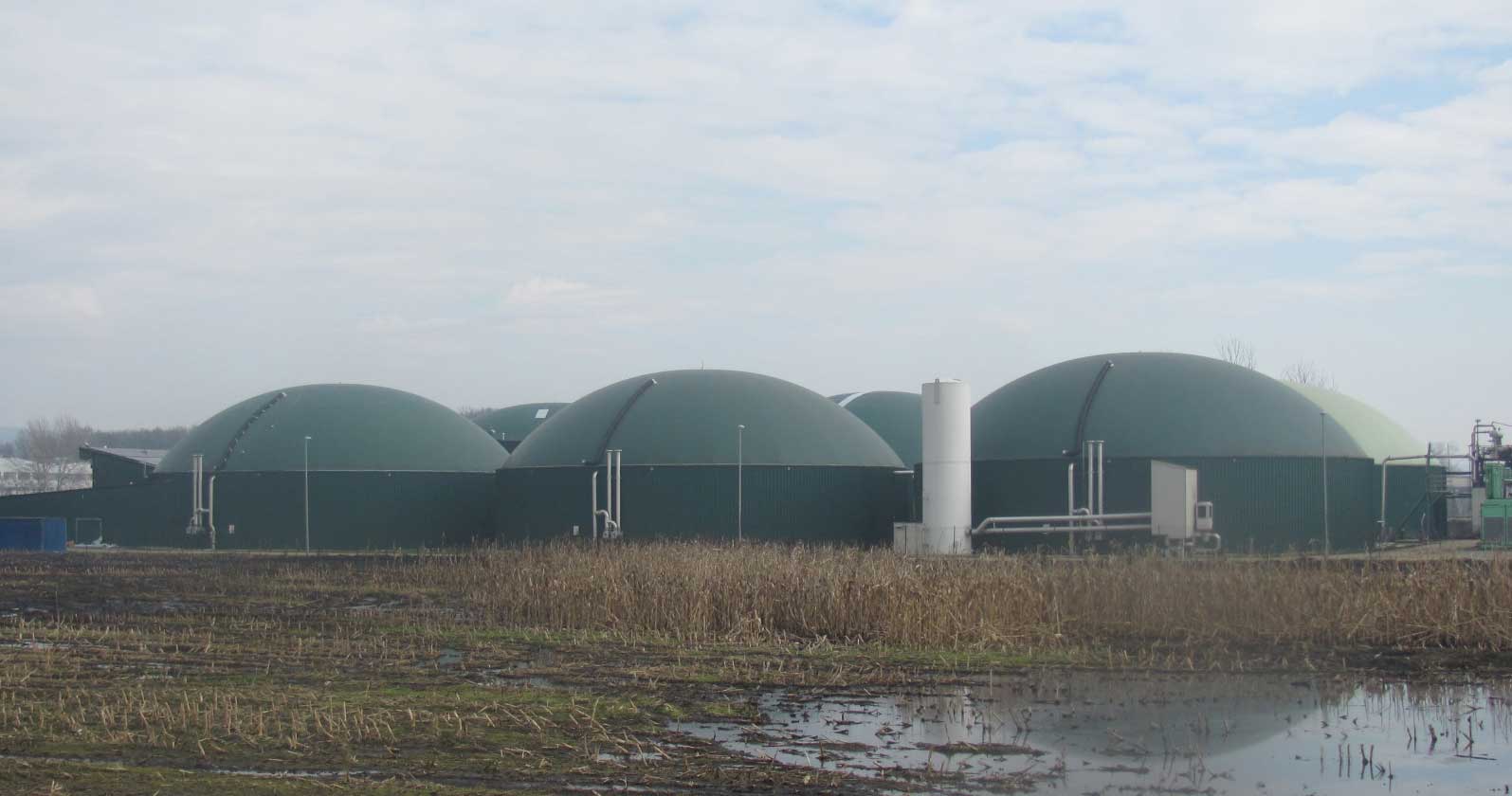 Biogas i agrar